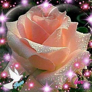 Meet your Posher, Eileen